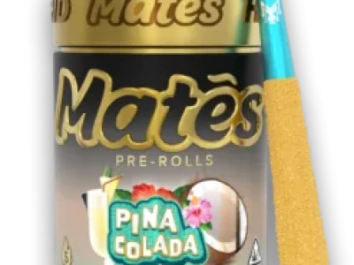 Pina-Colada-247x296-1.webp