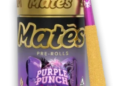 Purple-Punch-247x296-2.webp