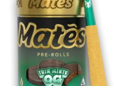 Thin-Mints-247x296-1.webp
