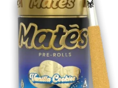 Vanilla-Cookies-247x296-1.webp