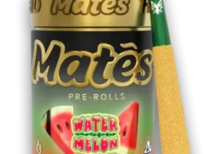 Watermelon-1-247x296-1.webp